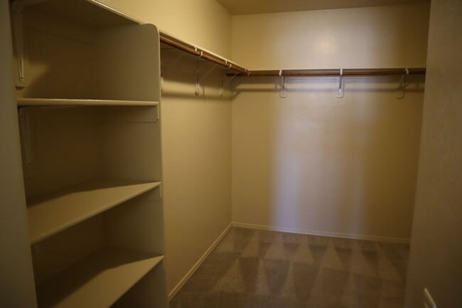 Building Photo - A Home You Have To See To Believe!!!