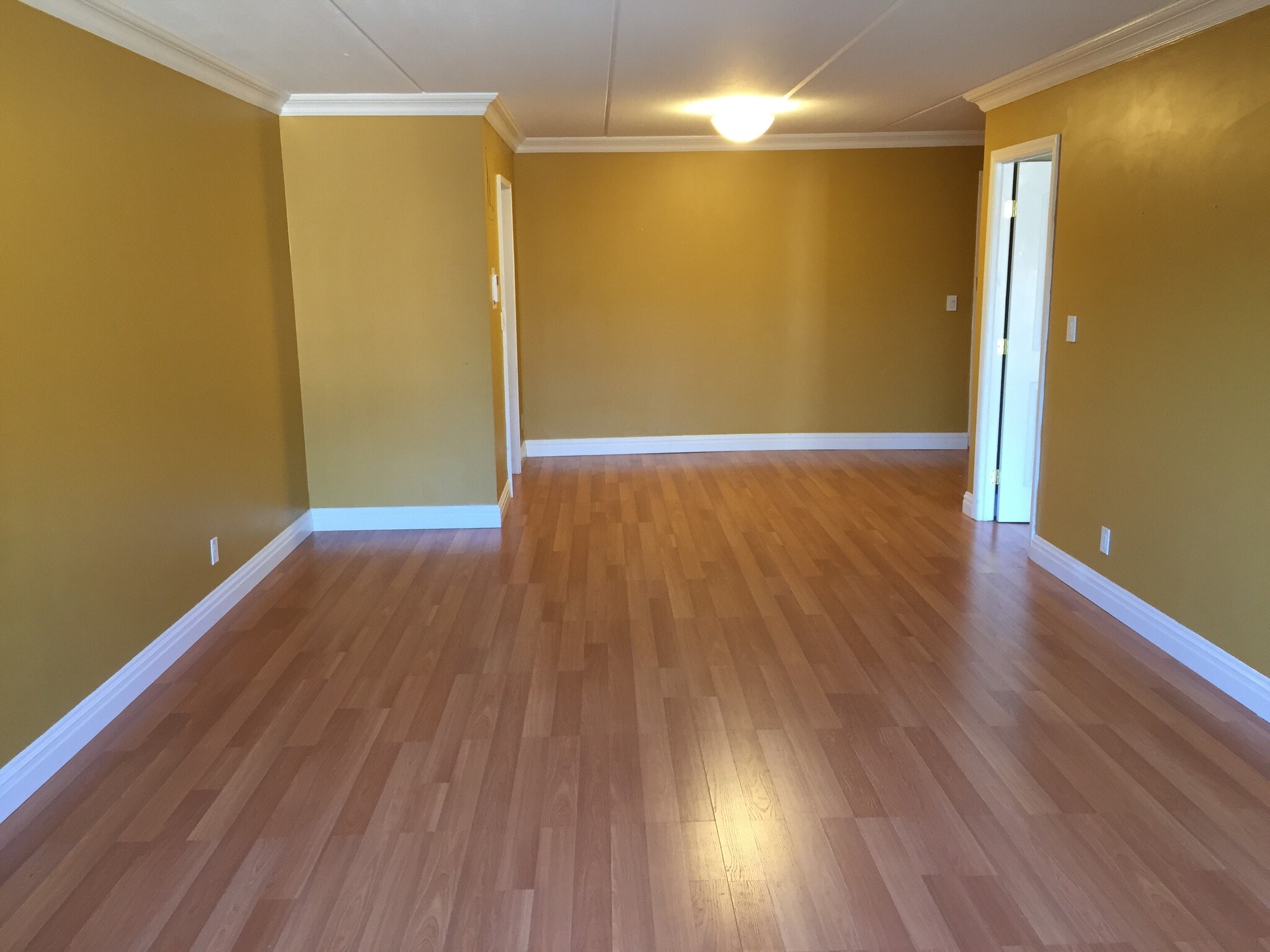 Living room/ dining room - 412 Benedict Ave