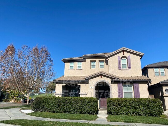 Primary Photo - 297 Emory Oak Pl