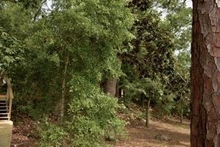 Building Photo - 631 Nelson Point Rd