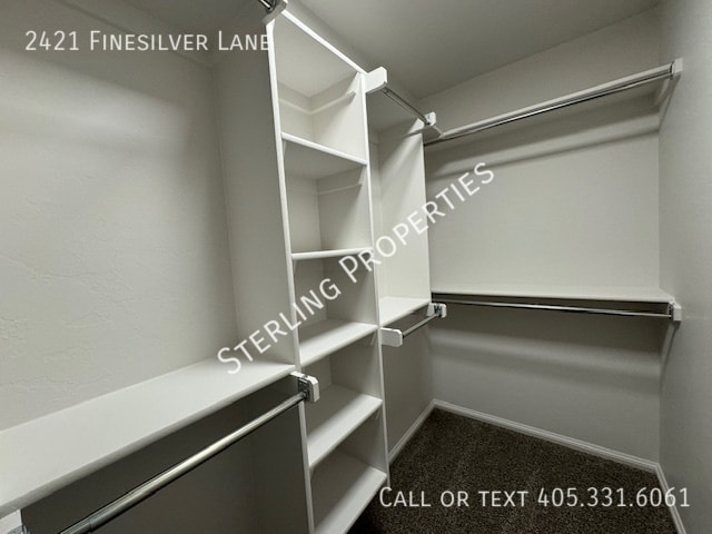 Building Photo - 2421 Finesilver Ln