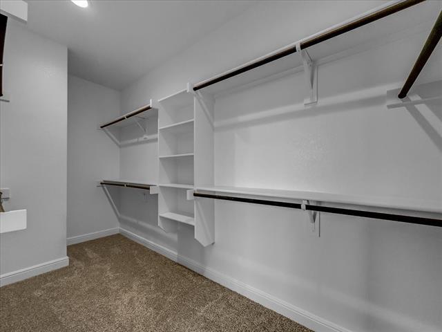 Building Photo - 1605 Camp Ct
