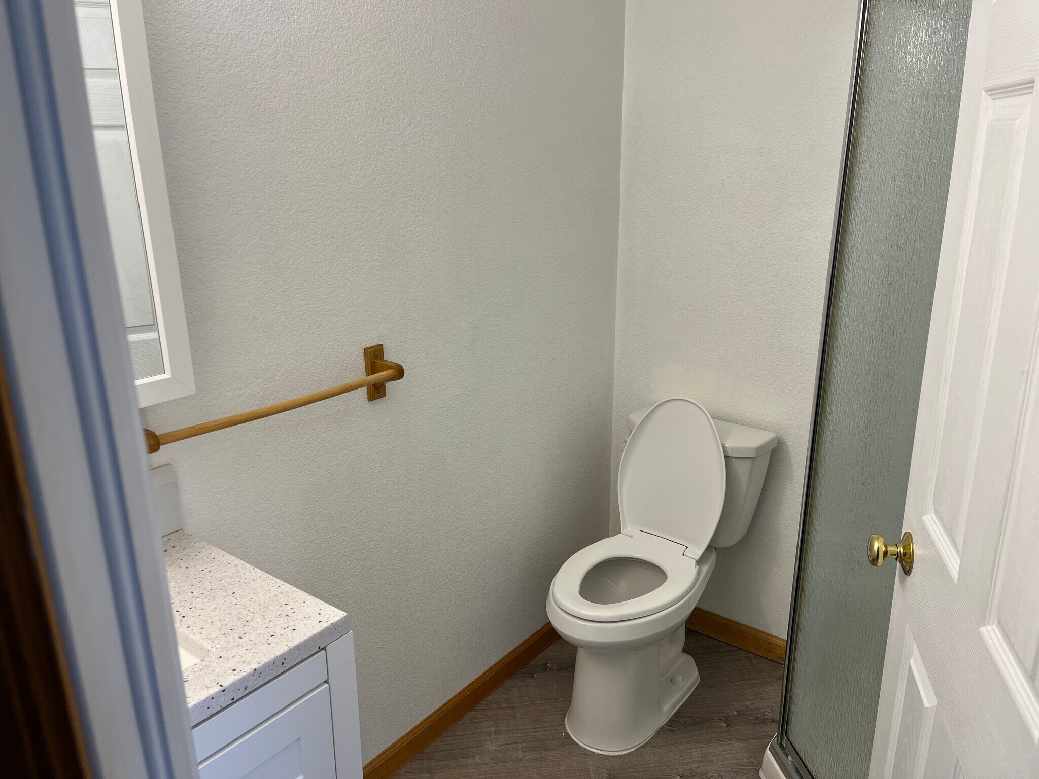 Master Bath with shower - 313 Ash Ct