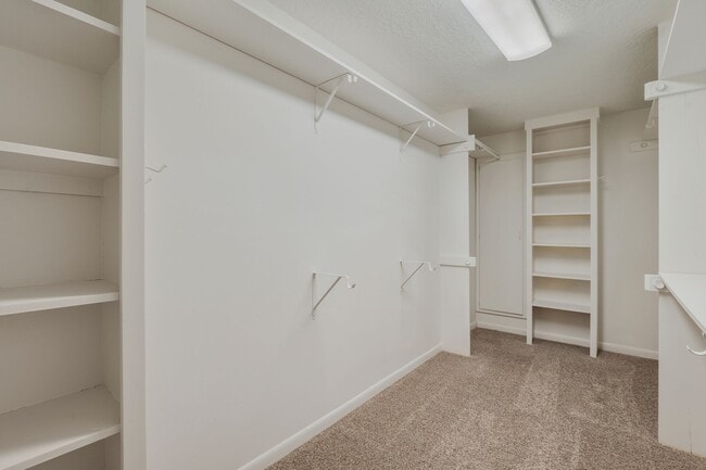 Building Photo - 3802 Sunnybrook Ln