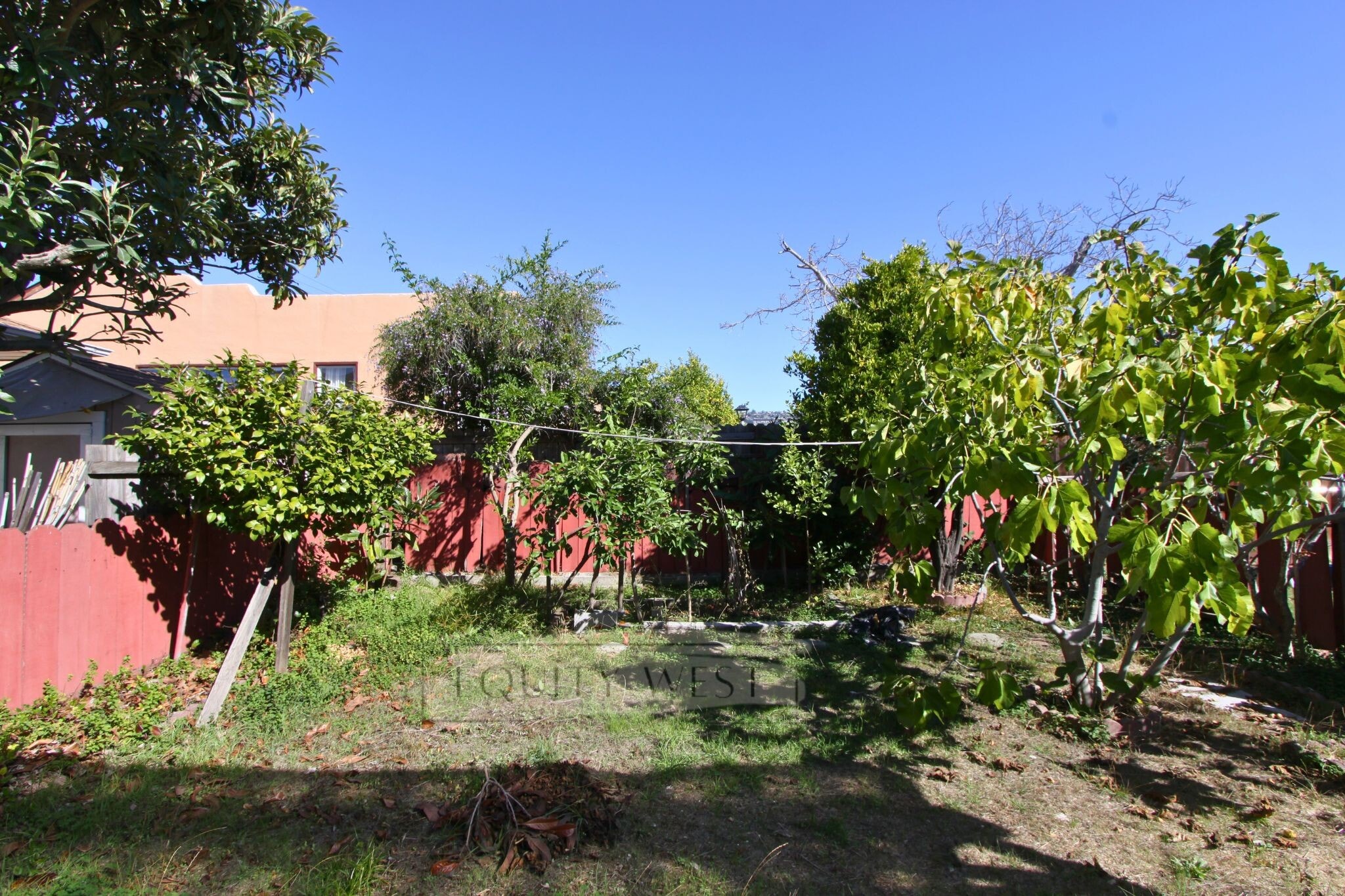 shared yard - 3506 Suter St