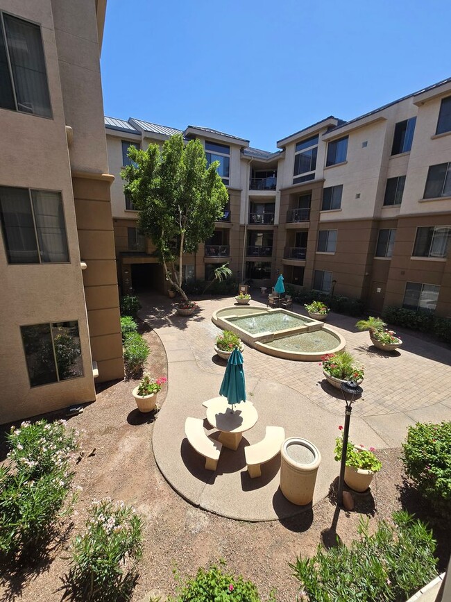 Building Photo - Charming 1-Bedroom 1-Bath Condo in Biltmore Area