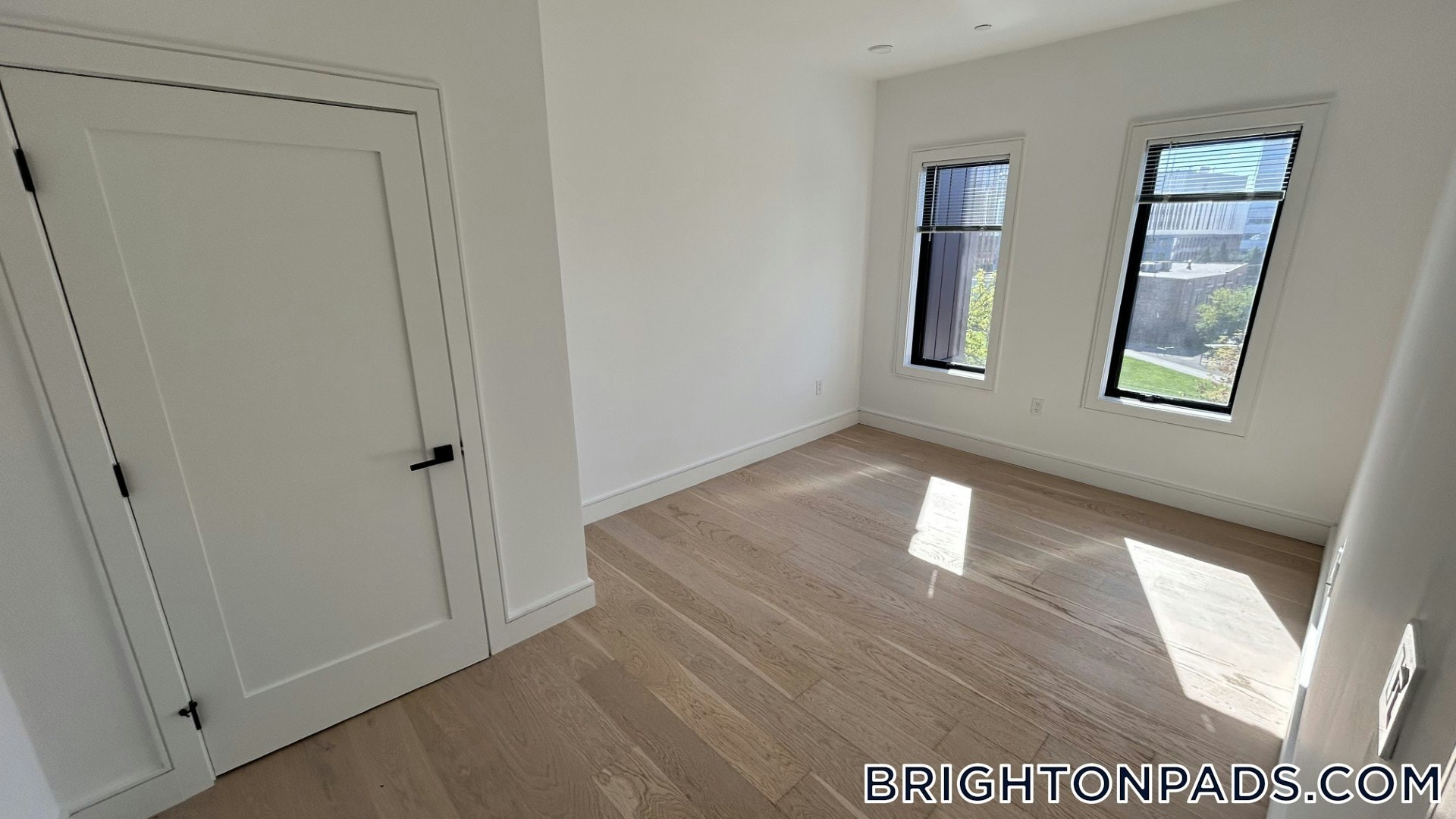 Building Photo - 50 Leo M Birmingham Pkwy