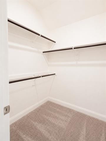 Building Photo - 1212 Castiglione Ln
