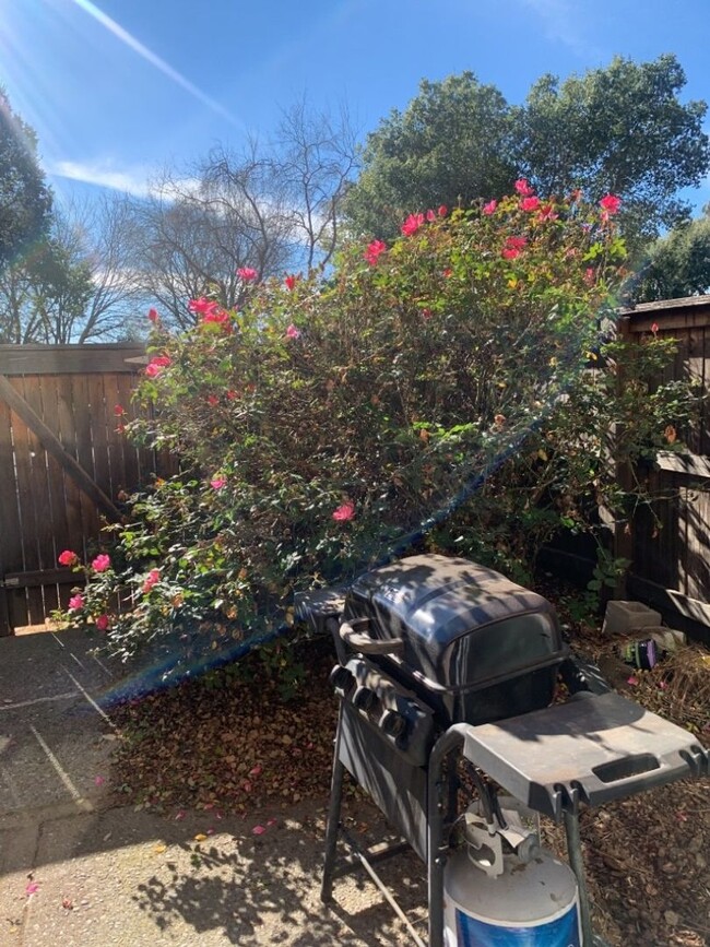 Building Photo - 3 Bedroom 1.5 bath in Covell Commons HOA i...