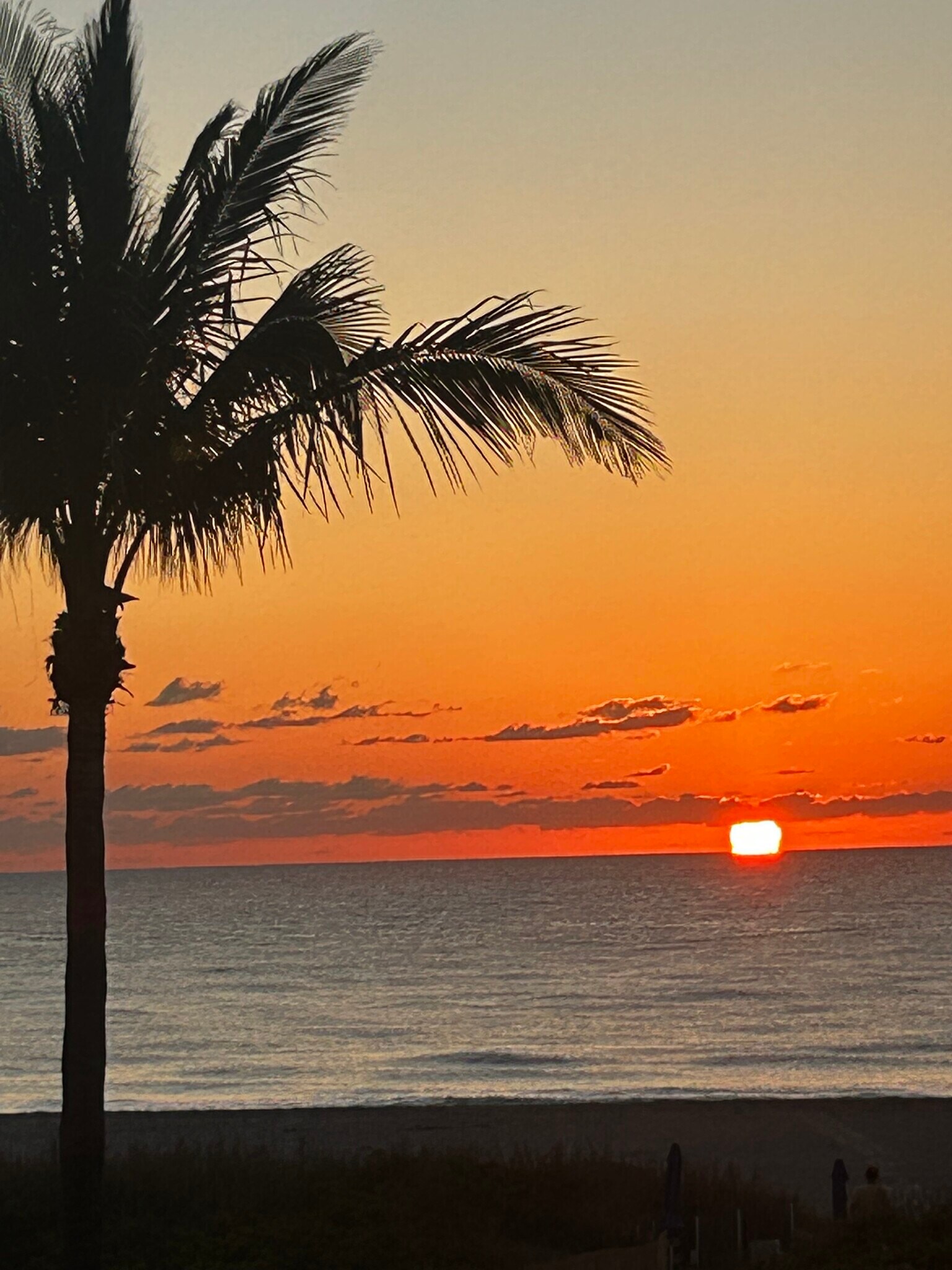 Building Photo - 3600 N Ocean Dr