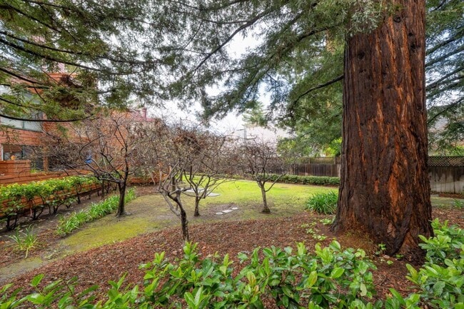 Building Photo - 4250 El Camino Real