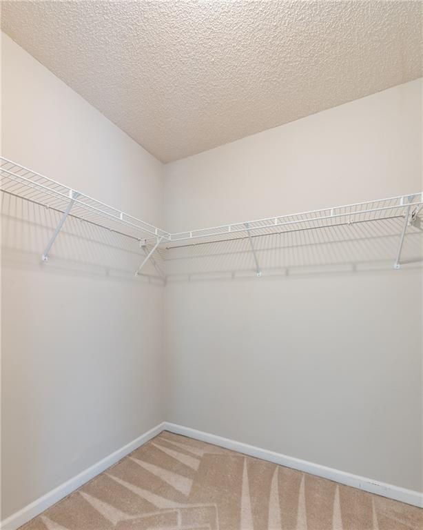 Building Photo - 227 Westwind Dr