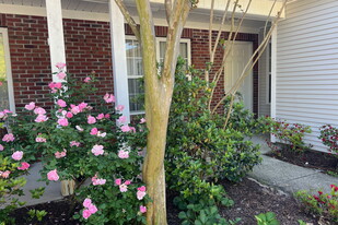 Building Photo - 6219 Michelas Bay Ln