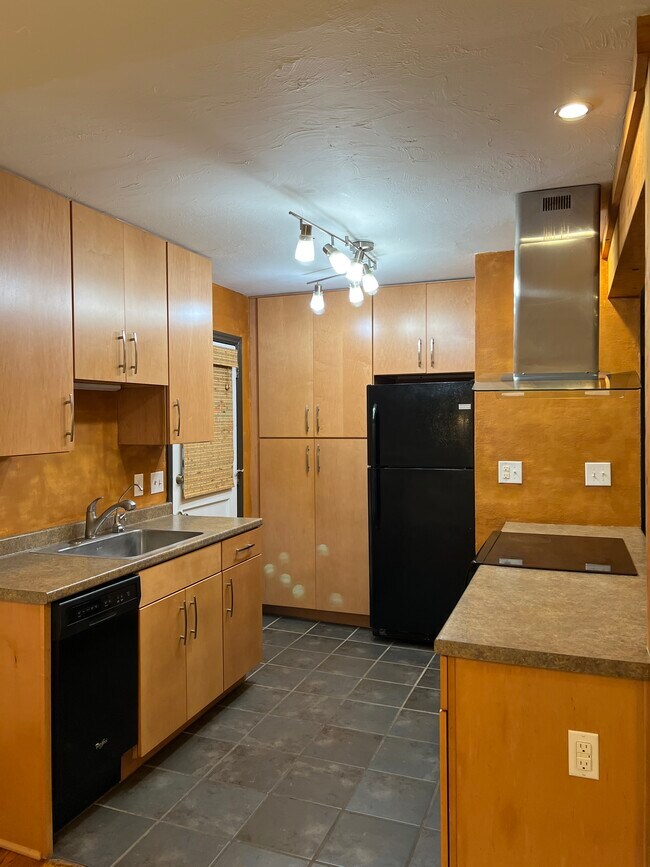 High end cabinets with honey natural alis clay paint finish. Includes water filter. - 73 Swannanoa Ave