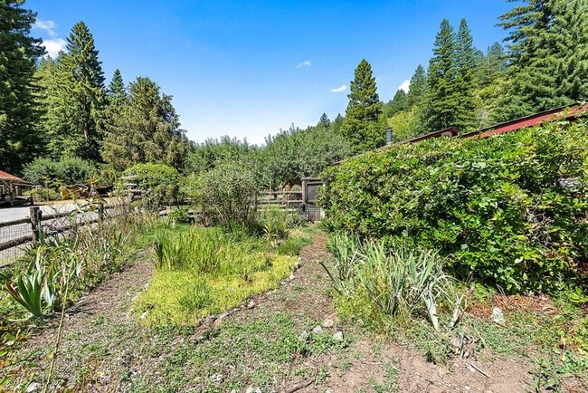 Building Photo - 750 Square Foot one  Bedroom cottage on pr...