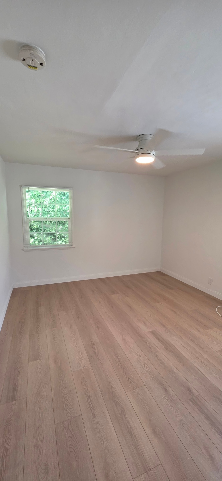 Building Photo - 7034 Hazeltine Ave