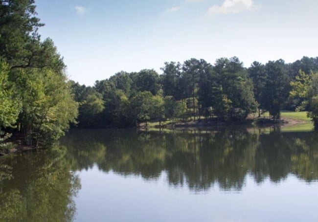 Building Photo - Williamson County 3 Bedroom New Construction Townhome with Great Schools in Fairview, TN