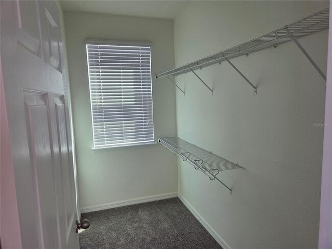 Building Photo - 8359 Lookout Pointe Dr