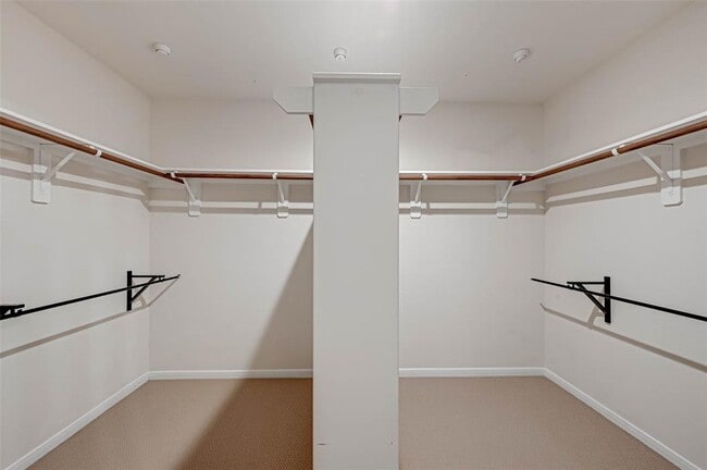 Building Photo - 502 Mornington Ln