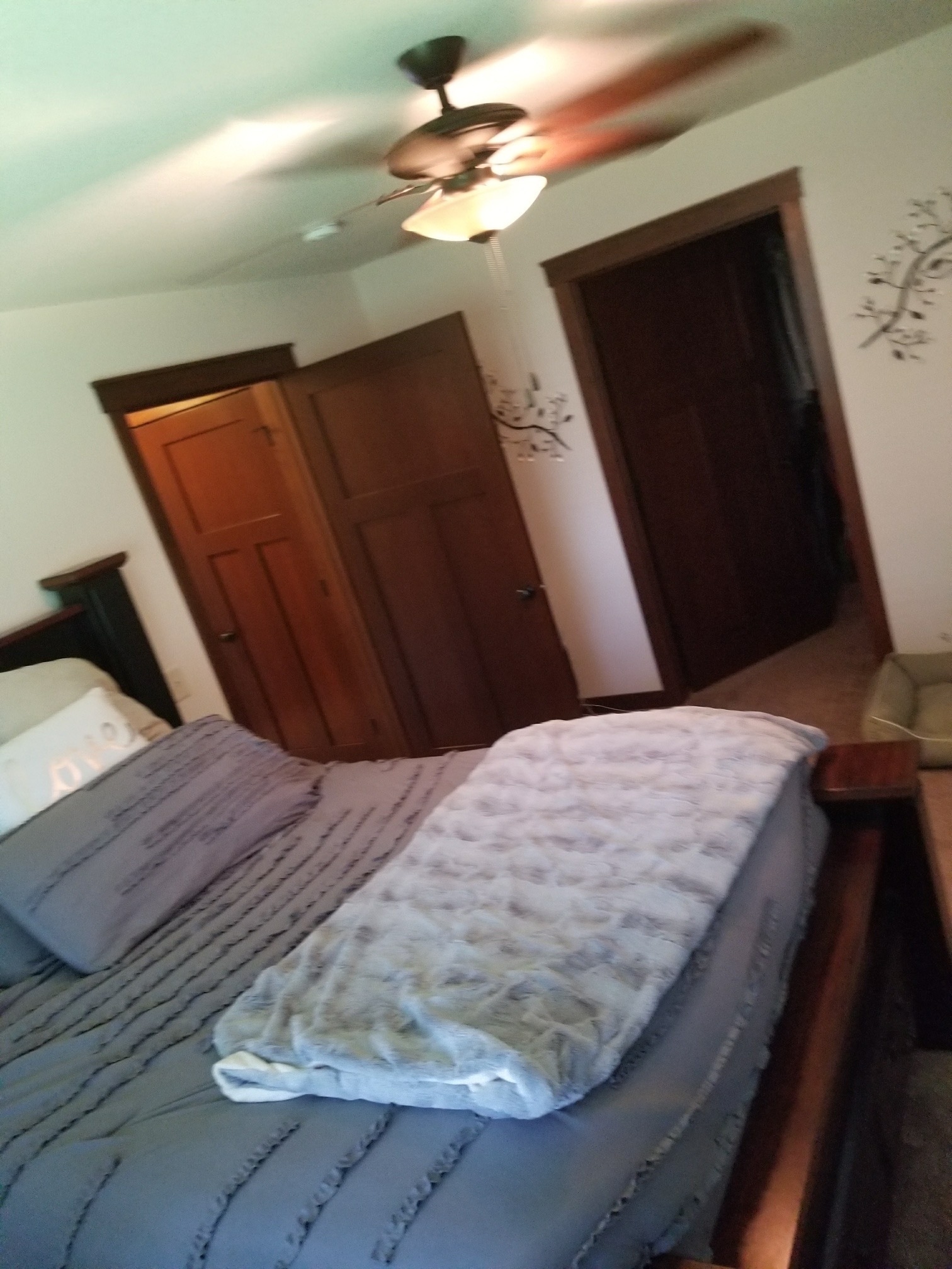 Building Photo - 2850 Swallowtail Ct