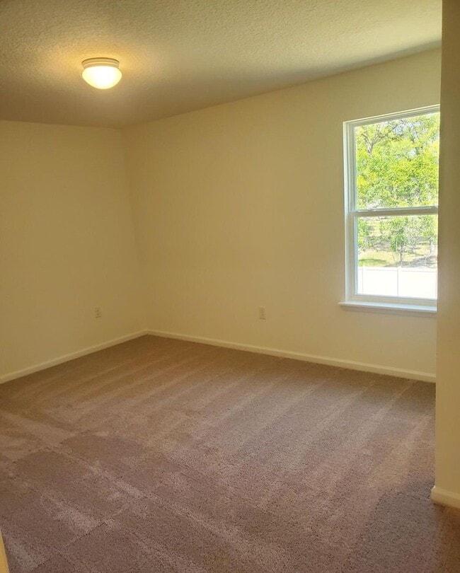 Building Photo - 247 Mustard Hl Ct