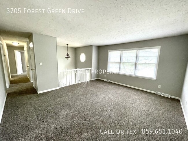Building Photo - 3705 Forest Green Dr