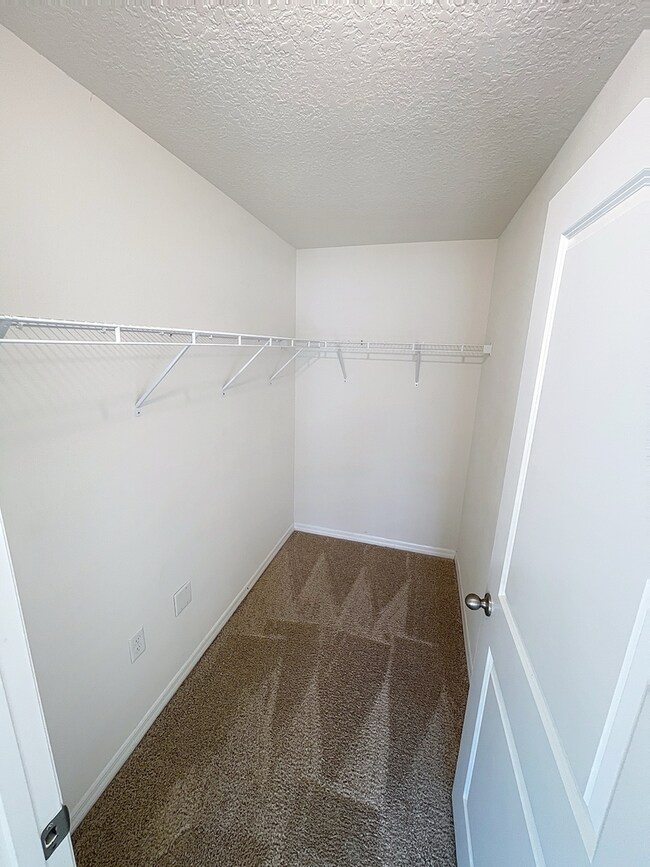 Building Photo - 12159 White Cypress Pl