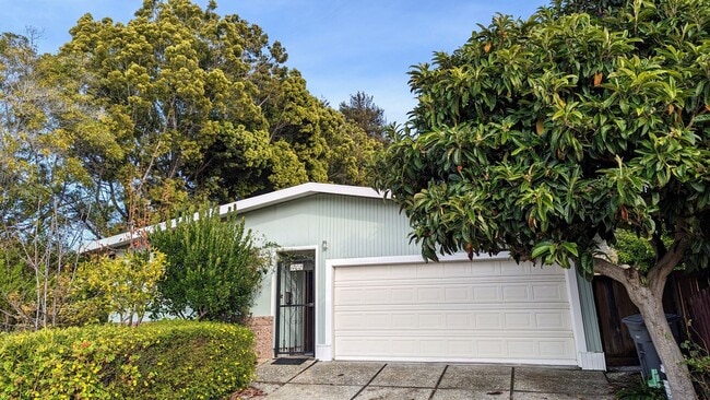 Building Photo - Spacious 4Bed/3Bath House Home in El Cerrito!