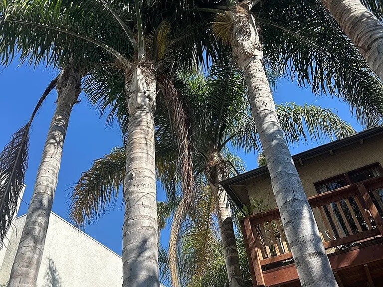 Building Photo - 725 Washington Blvd