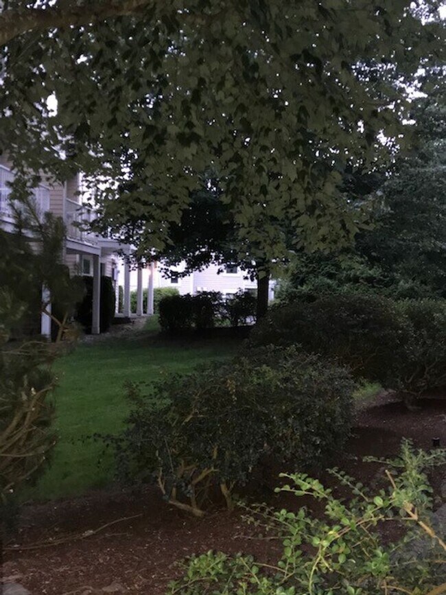 Building Photo - Beautiful remodeled 3 Story Townhome Pre-Leasing, Available now!