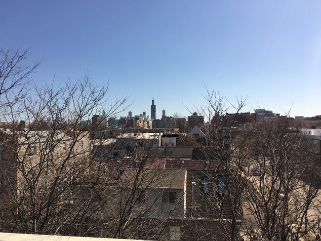 View from rooftop - 2334 W Polk St