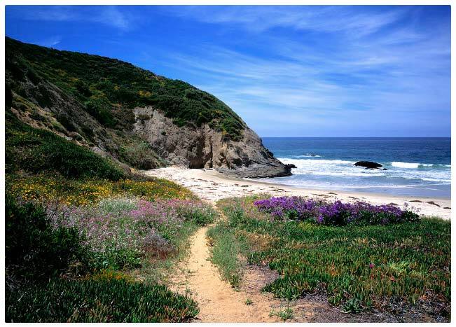 Primary Photo - 16 Corniche Dr