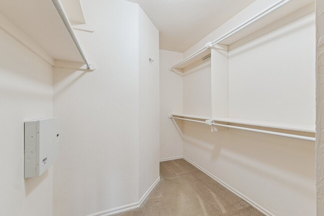 Building Photo - 11129 Springhollow Ct