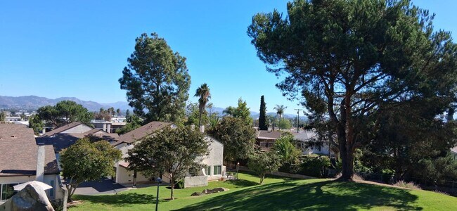 Building Photo - 1437 Robin Ln