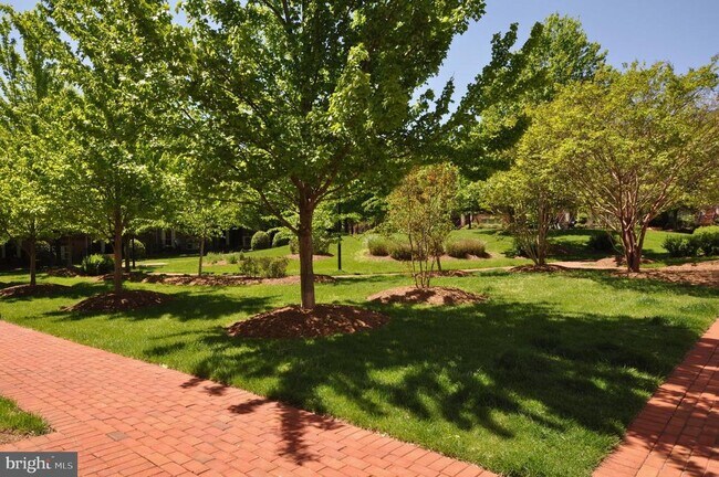 Building Photo - 7976 Vigne Ct