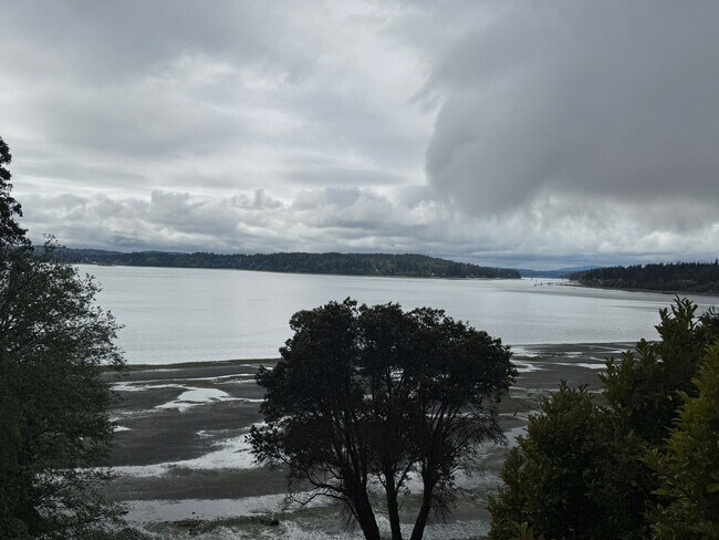 Building Photo - Desirable Indianola waterfront just in tim...