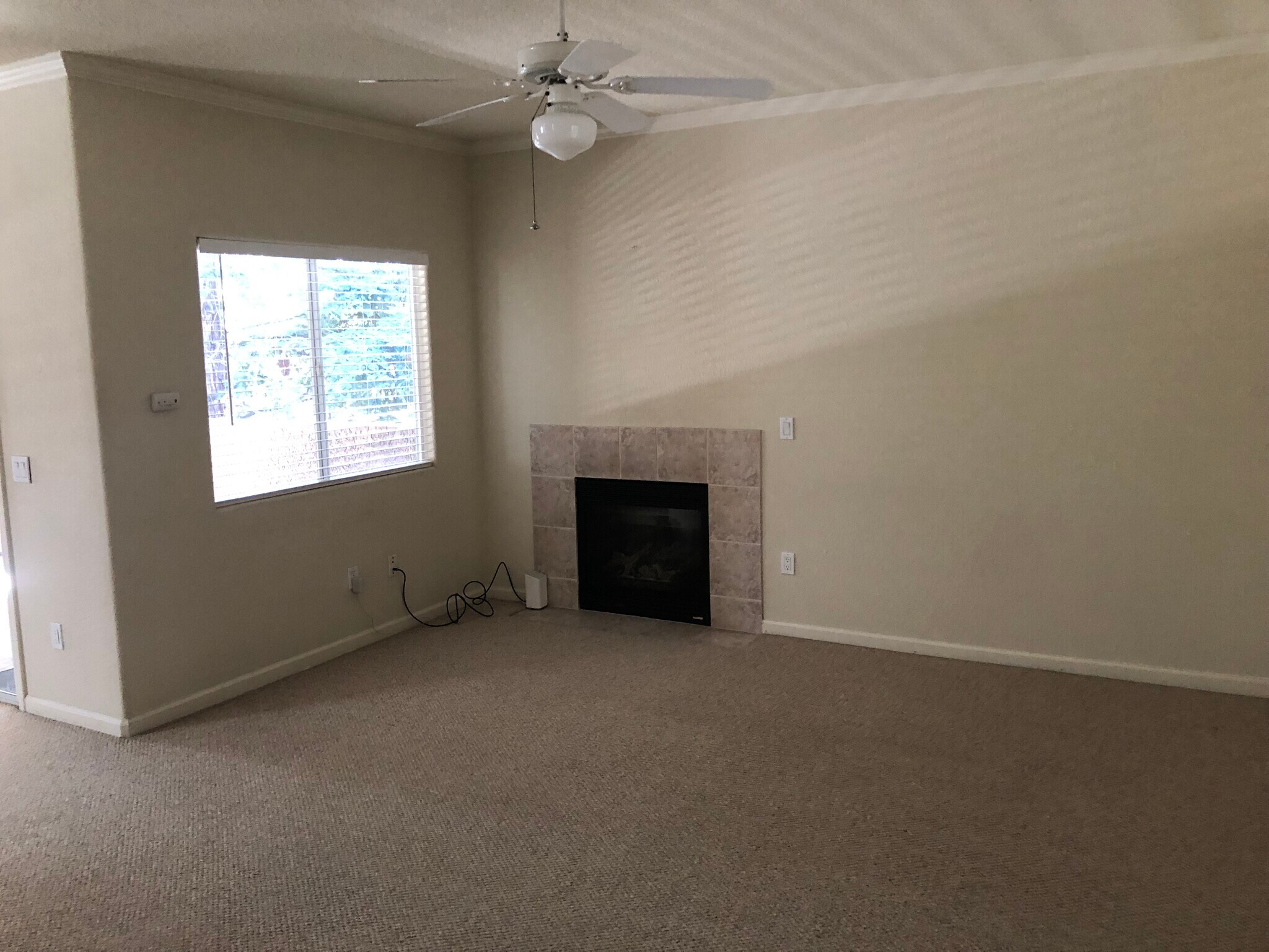 Building Photo - 10001 Woodcreek Oaks Blvd