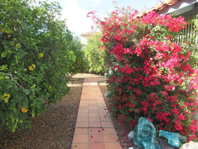 Building Photo - Large (3,825"), Beautiful & Luxurious Eastside Home with Breathtaking Mtn. Views.