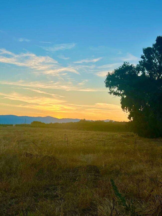 Building Photo - Beautiful New 3/2 Horse Property