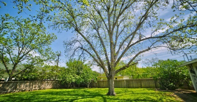 Building Photo - 2119 Flamingo Dr