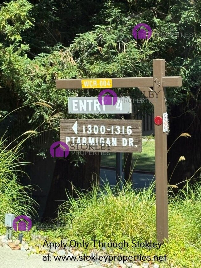 Building Photo - 1317 Canyonwood Ct