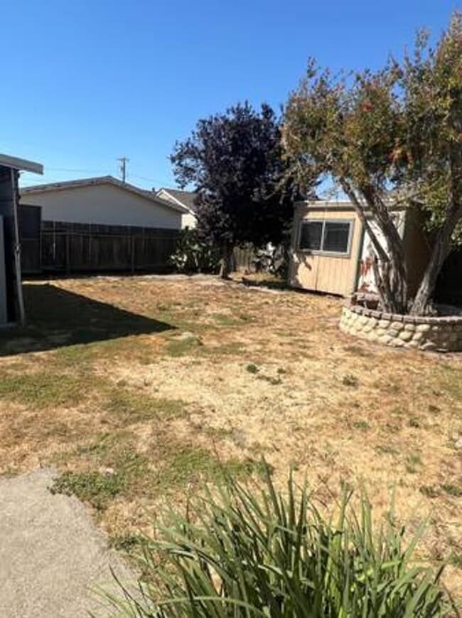 Building Photo - 441 Brockmann Dr