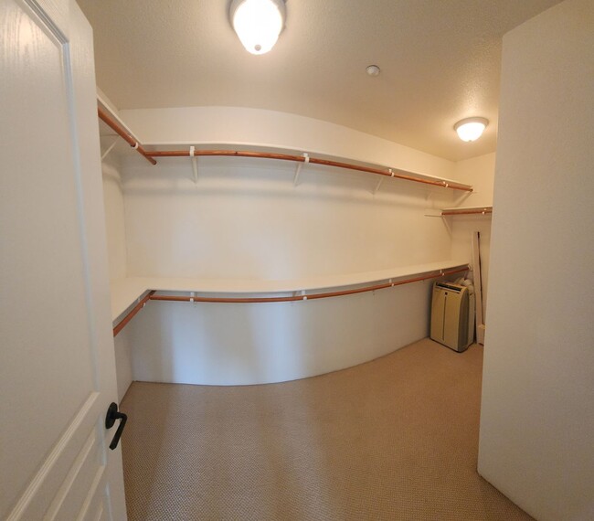 Building Photo - Contemporary Beautiful Spacious 4 bed 3 bath home
