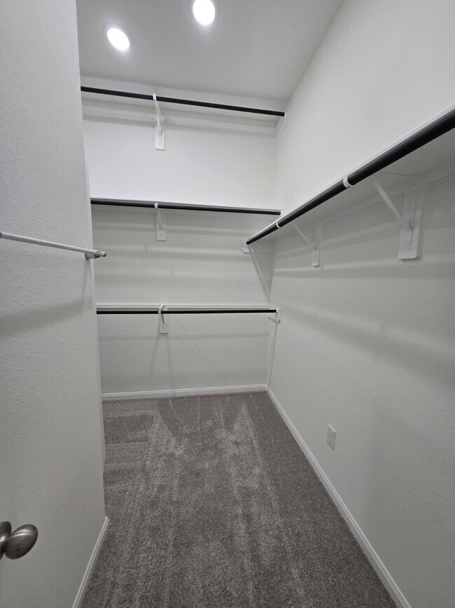 Building Photo - 1420 Florecer Ln