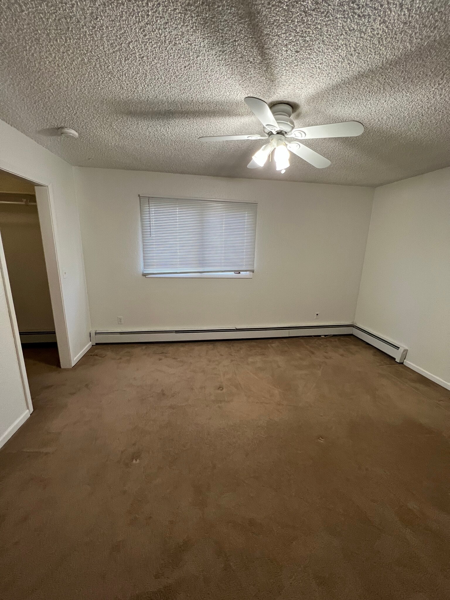 Building Photo - 1701 Roosevelt Dr