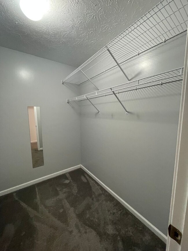 Building Photo - Gorgeous Three Bedroom Single-Family Home