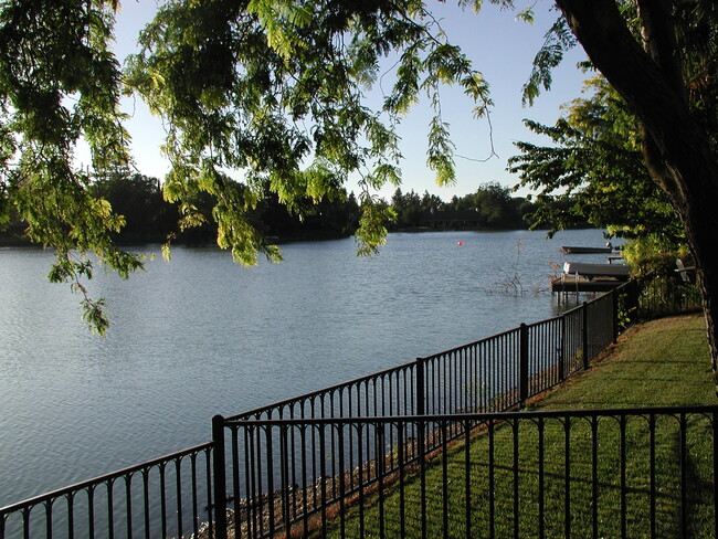 Lake VIew from HOA Common Area - 732 Lake Terrace Cir