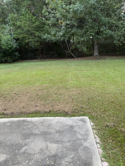 Building Photo - 1003 Clearmont Dr