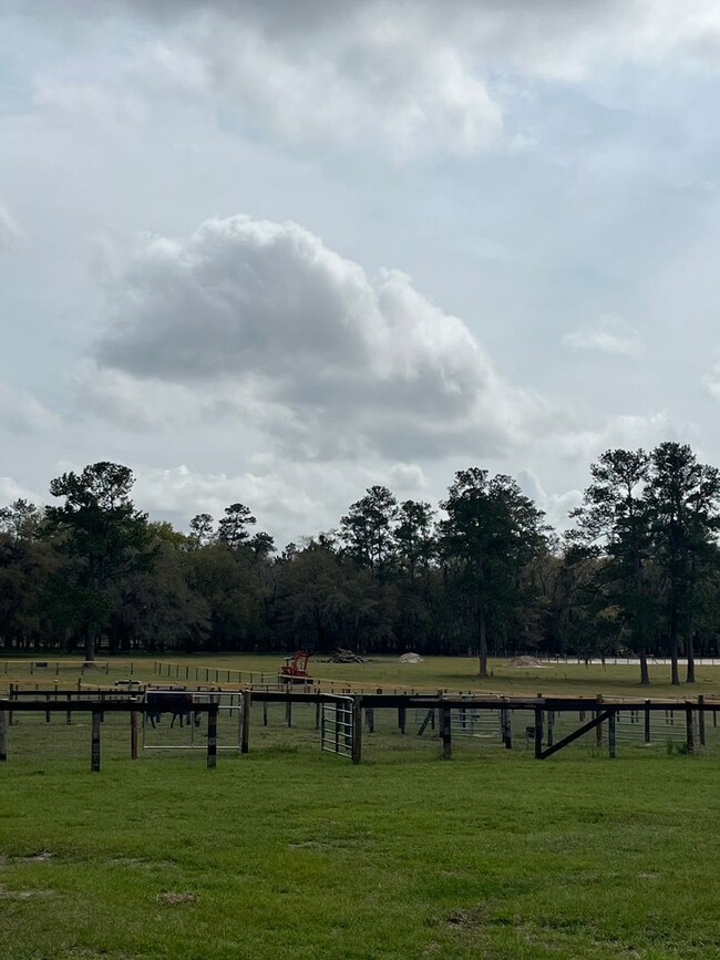 Building Photo - 4/3 Ocala HITS Stalls/RV Hook-Ups/Paddocks...