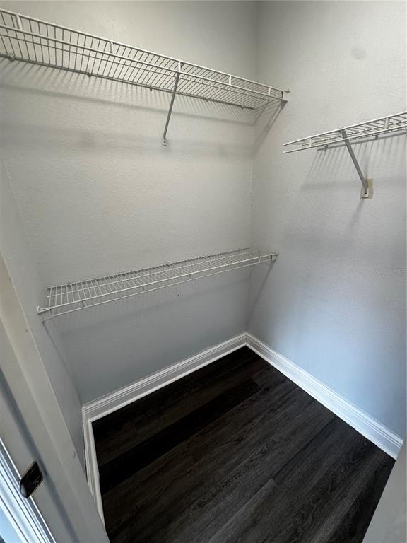 Building Photo - 5000 Culbreath Key Way
